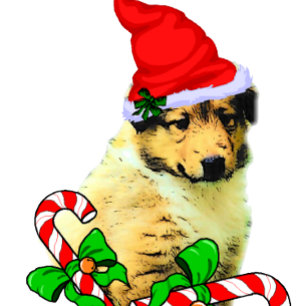 Tarjeta Festiva Navidades de Collie Puppy