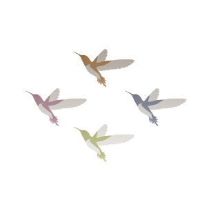 Invitación Boda de Hummingbirds