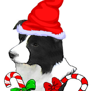 Tarjeta Festiva Navidades de Border Collie