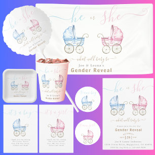 Lona Revelación de género en rollo rosa o azul