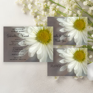 Daisy blanco suave sobre la boda gris RSVP