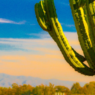 Invitación a la boda del desierto de Saguaro Cactu