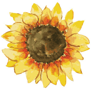 Postal De Invitación Girasol rústico. Posponer kraft Cambiar la fecha