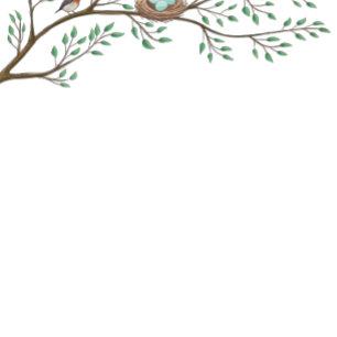 Invitación Robin Bird Spring Baby Shower Co-Ed Gender Neutral
