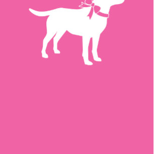 Invitación Labrador Perro Baby Shower Lab Chica Rosa