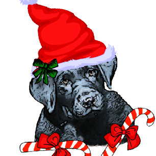 Navidad lindo del labrador retriever