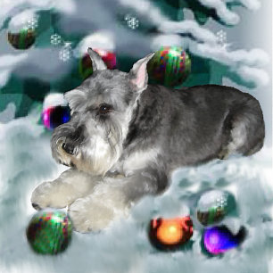 Tarjeta Festiva Regalos de Navidades Schnauzer en miniatura