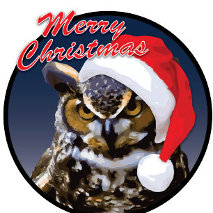 Navidad Owl - Tarjeta de felicitación, Estándar