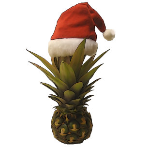 Tarjeta de nota plana Santa Hat Pineapple.
