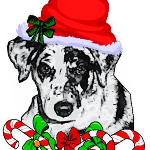 Tarjeta Festiva Regalos de Navidades de perro leopardo de Catahoul