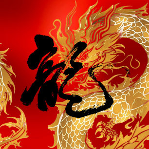 Cojín Decorativo Dragón rojo dorado 龍 caligrafía japonesa china CNY