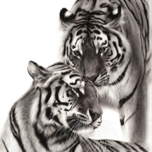 Tapiz Touch - Pintura de tigre original a mano
