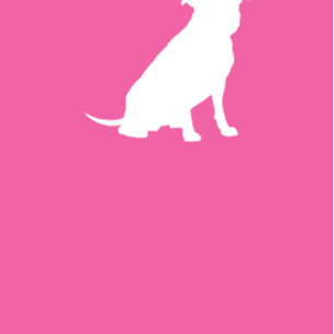 Invitación Pitbull, Chica rosado de Baby Shower Bulldog Pit