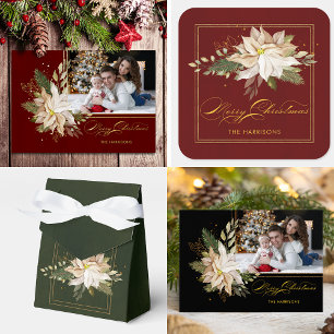 Elegantes poinsettias blancas con verde dorado fot