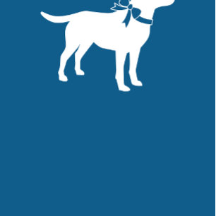 Invitación Labrador Dog Baby Shower Blue Boy Lab
