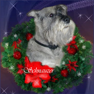 Tarjeta Festiva Regalos estándar de Navidades Schnauzer