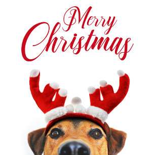 Navidad Perro Gracioso Corte Rindeer Antler Cabeza
