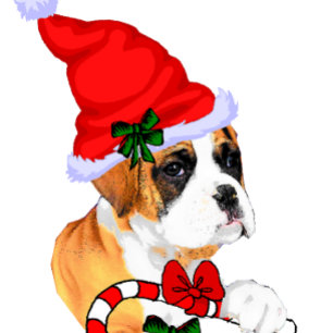 Navidad lindo del perro del boxeador