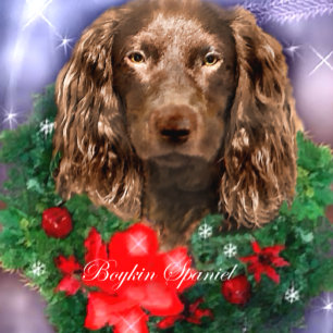 Regalos del navidad del perro de aguas de Boykin