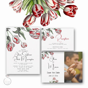 Tarjeta De Agradecimiento Gracias   Tulipanes rojos y blancos