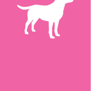 Invitación Labrador Perro Baby Shower Lab Chica Rosa