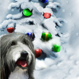 Regalos barbudos del navidad del collie