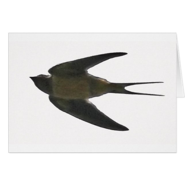 Swallow (Anverso (Horizontal))