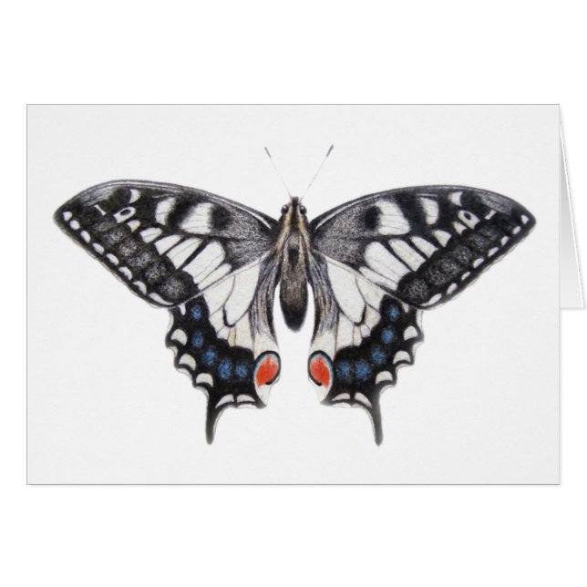 Swallowtail 2012 (Anverso (Horizontal))