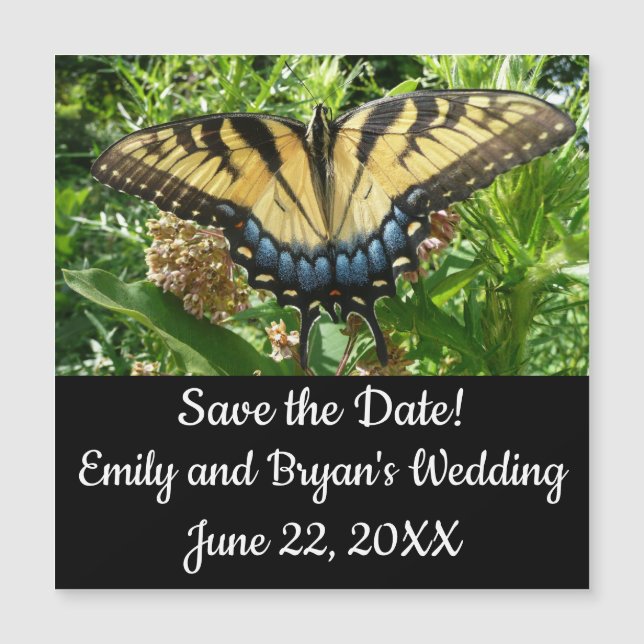 Swallowtail Butterfly II at Shenandoah (Anverso)