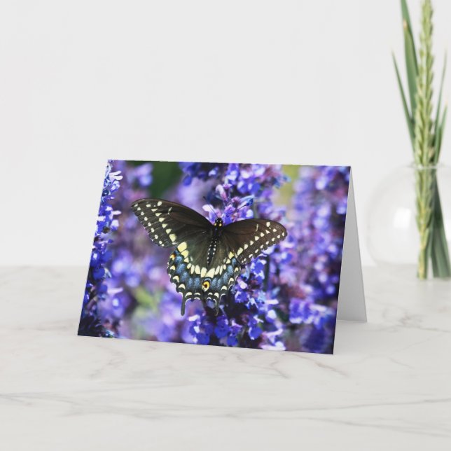 Swallowtail negro 7 x tarjeta de felicitación 5 - (Anverso)
