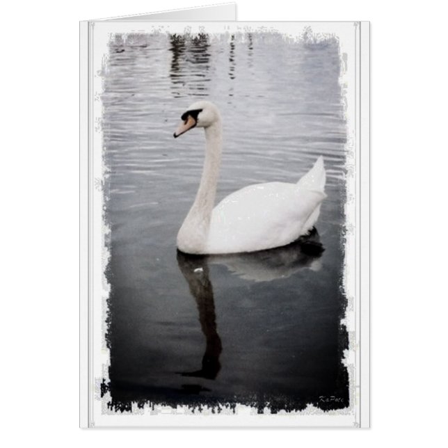 Swan (Frente)
