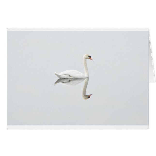 Swan (Anverso (Horizontal))