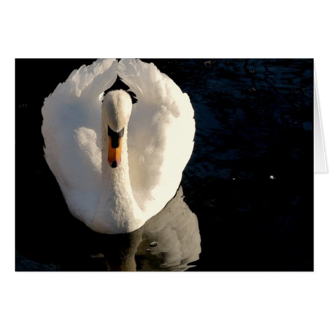 Swan (Anverso (Horizontal))