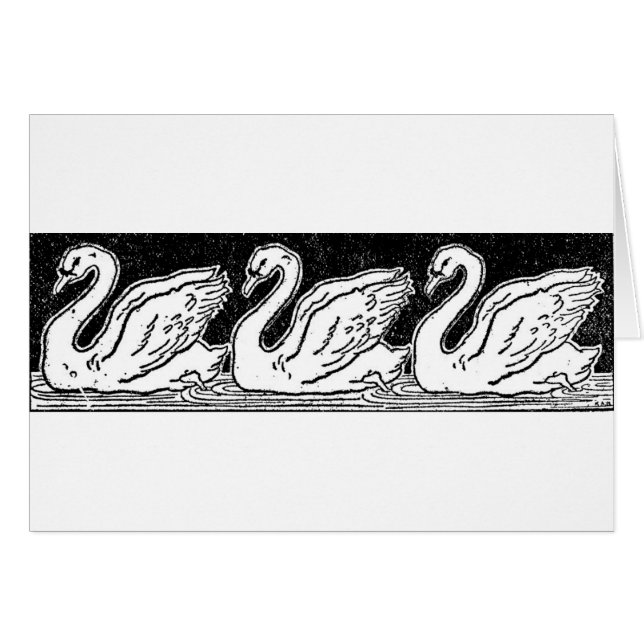 Swans (Anverso (Horizontal))