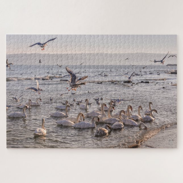 Swans in the Black Sea Jigsaw Puzzle (Horizontal)