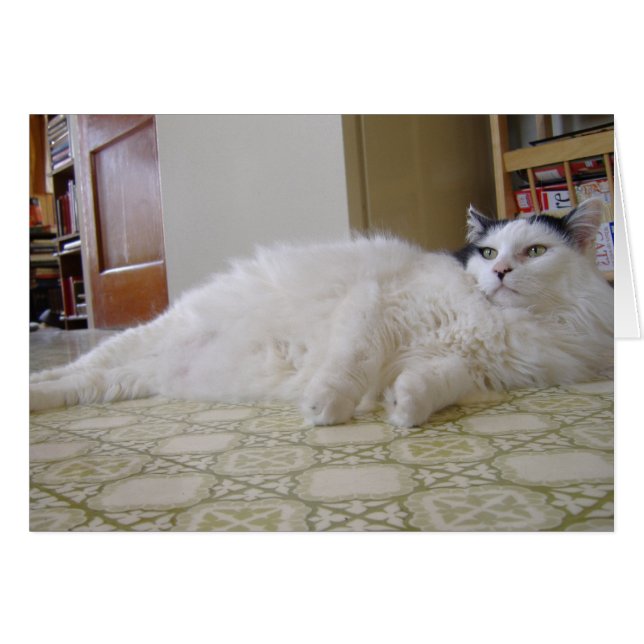Sweat Pea (Anverso (Horizontal))