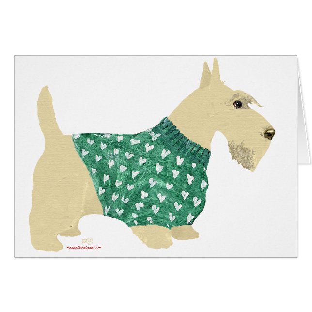 Sweater Wheaten Scottish Terrier (Anverso (Horizontal))