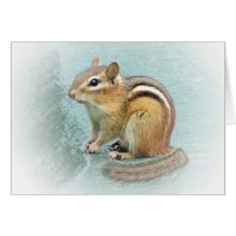 Sweet Chipmunk