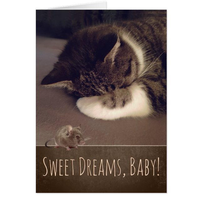 Sweet Dreams Sleeping Kitty (personalizable de tex (Frente)