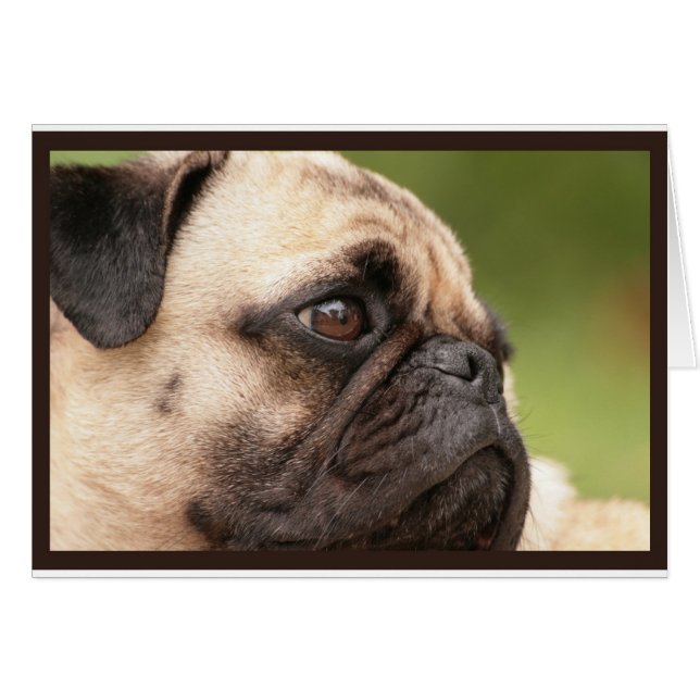 Sweet Pug (Anverso (Horizontal))