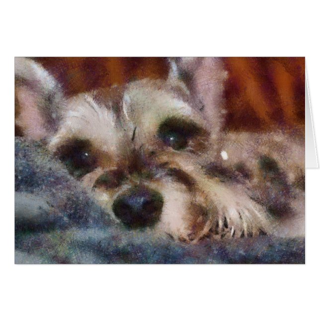 Sweetie (Anverso (Horizontal))