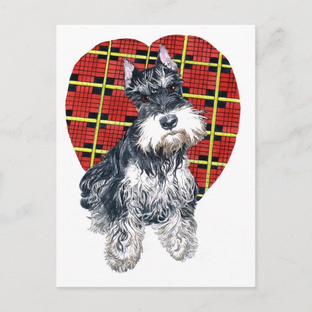 Sybil la tarjeta postal Schnauzer (Anverso)