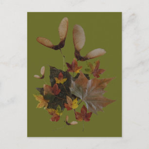 Sycamore Maple deja la tarjeta postal Collage DIY