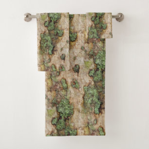 Sycamore Tree Bark Moss Lichen