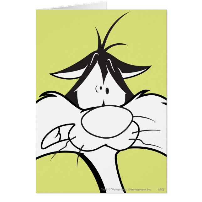 SYLVESTER™ Face (Frente)