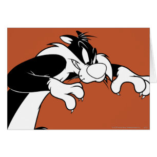 SYLVESTER™ Prowling