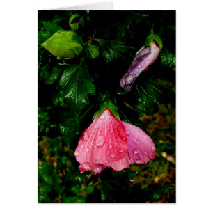 Syntymäpäivää-gotas de agua Finlandesas-Hyvää