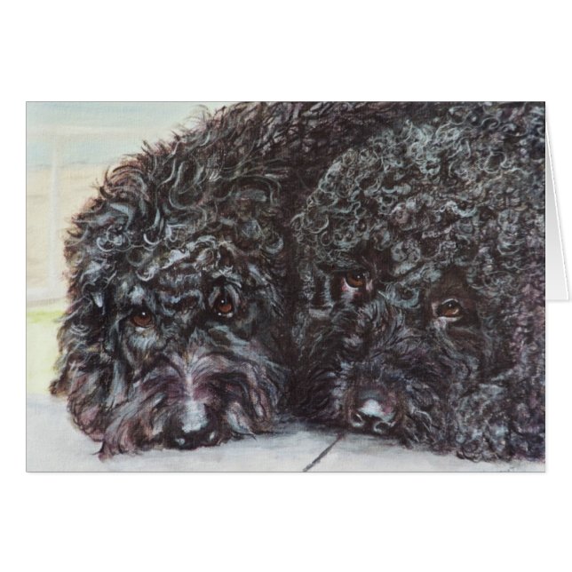 "Syrah y Cabernet " (Anverso (Horizontal))