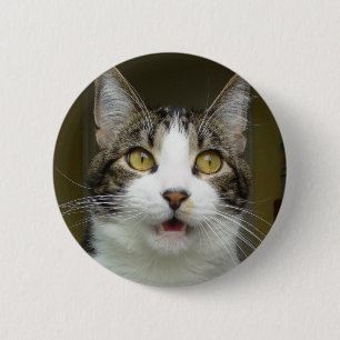 Syrus chocó el botón 0001