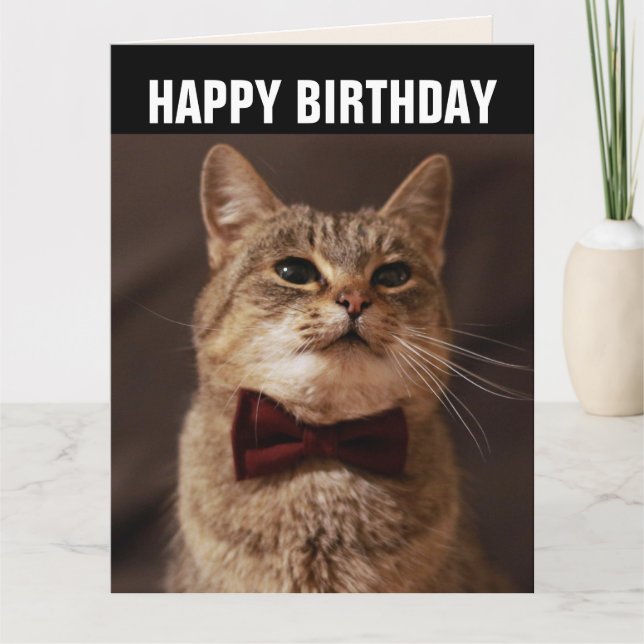 TABBY CAT BOW TIE TARJETA DE REUNIÓN DE CUMPLEAÑOS (Anverso)